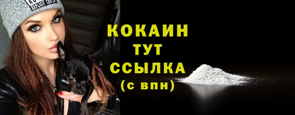 mdpv Магас
